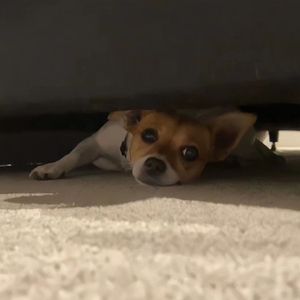 女人自熨100式图片
